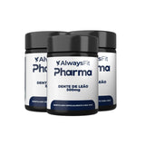 Dente-de-Leão (Taraxacum officinale)